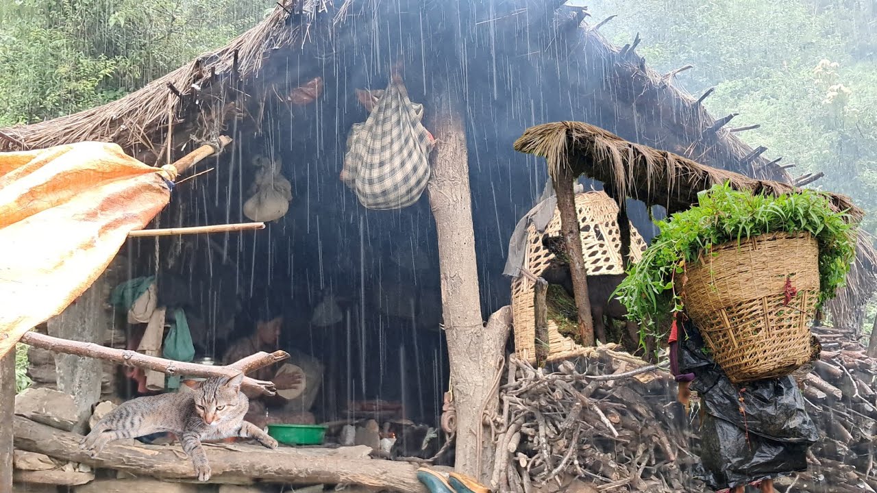 Best rainy day in himalayan village | Heavy rain fall day in nepal |