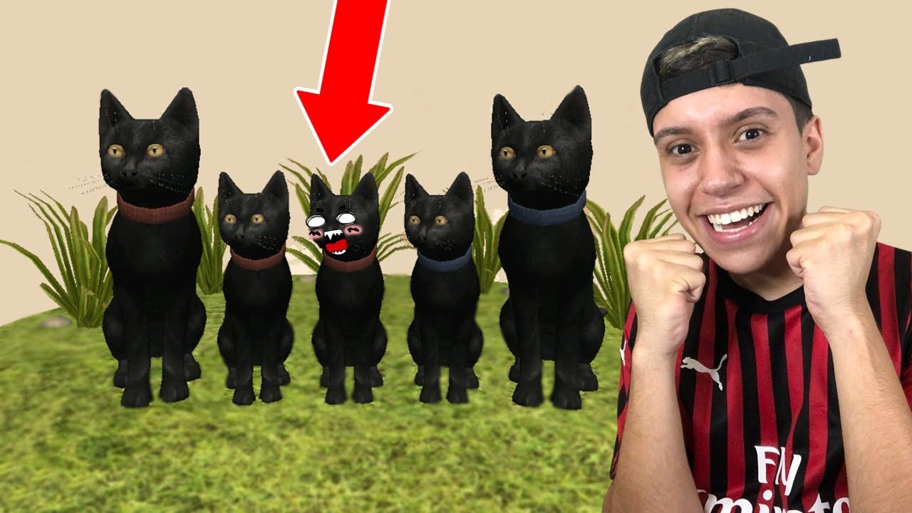 OS GATOS FICARAM MAIS FORTES COM ESSA TRANSFORMAÇÃO!! (Cat Simulator)