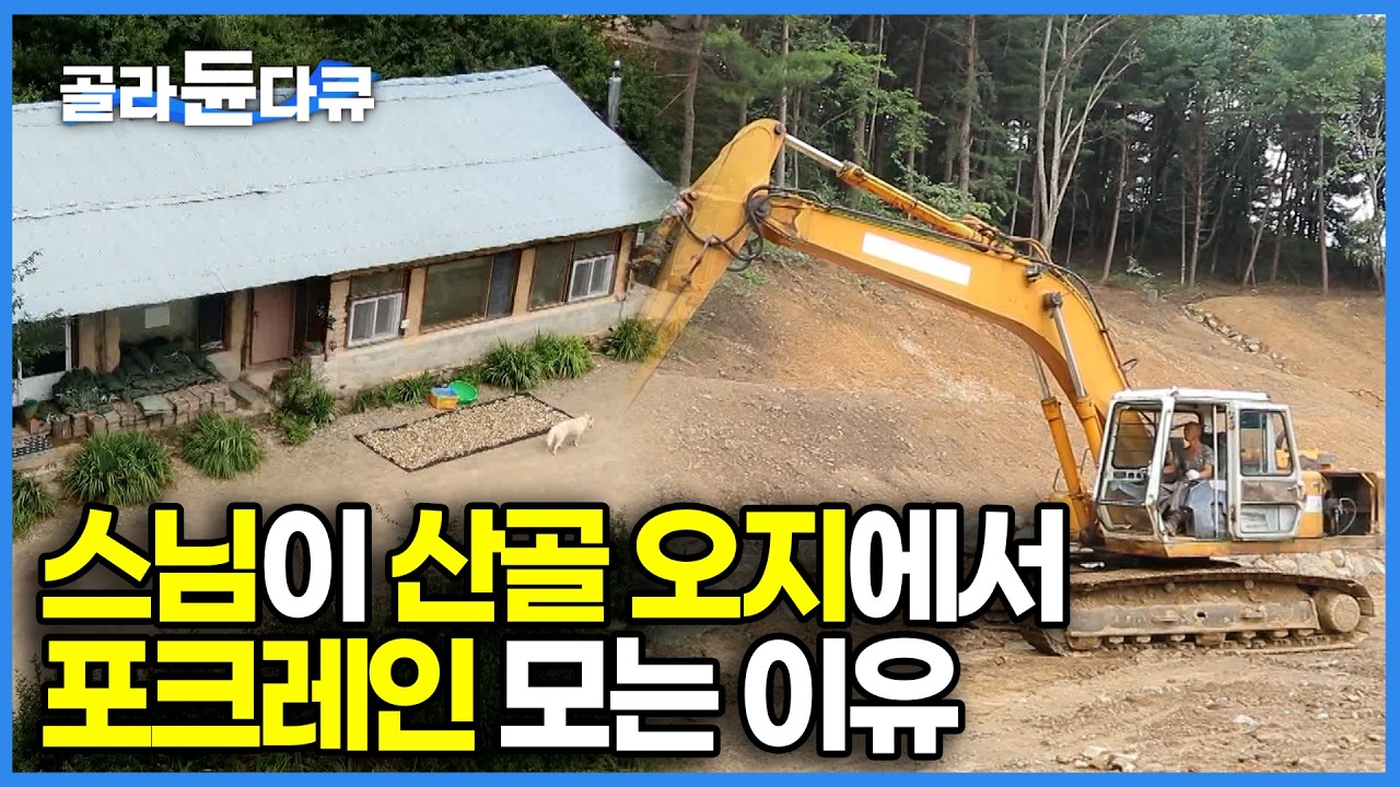 “노동이 곧 수행입니다“ 스님이 1,000m 고지의 산골에 포크레인 몰고 간 이유｜13년 전 홀로 산에 들어간 스님｜#골라듄다큐