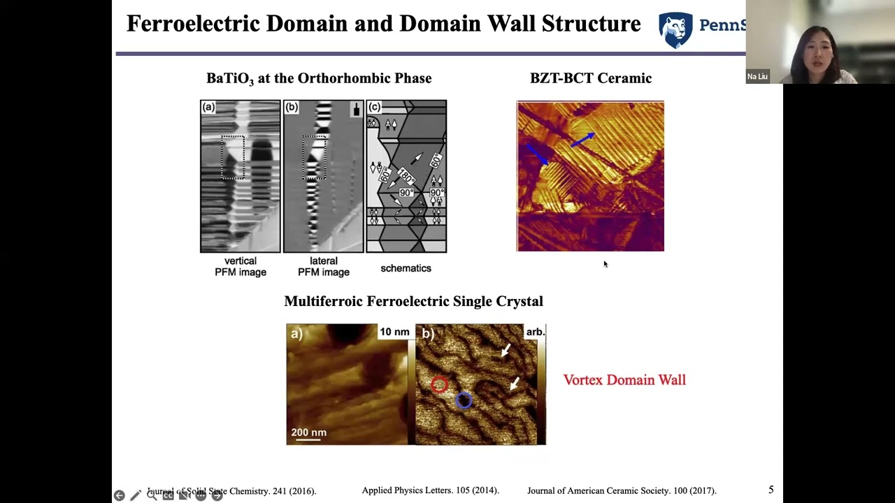 Na Liu - Ferroelectric Domains