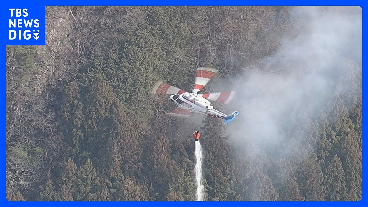 【速報】埼玉・秩父市浦山で山林火災　焼失面積は約40ヘクタール　県が自衛隊に災害派遣要請｜TBS NEWS DIG