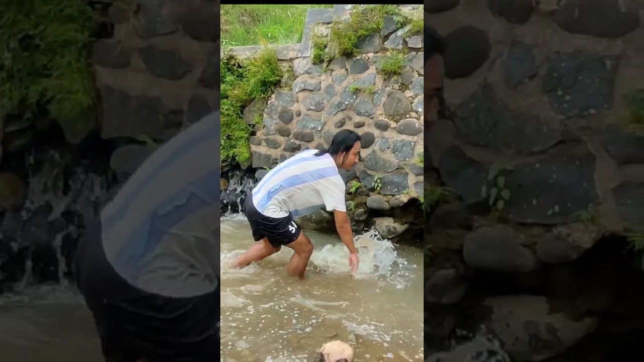 tabur obat ikan di sungai