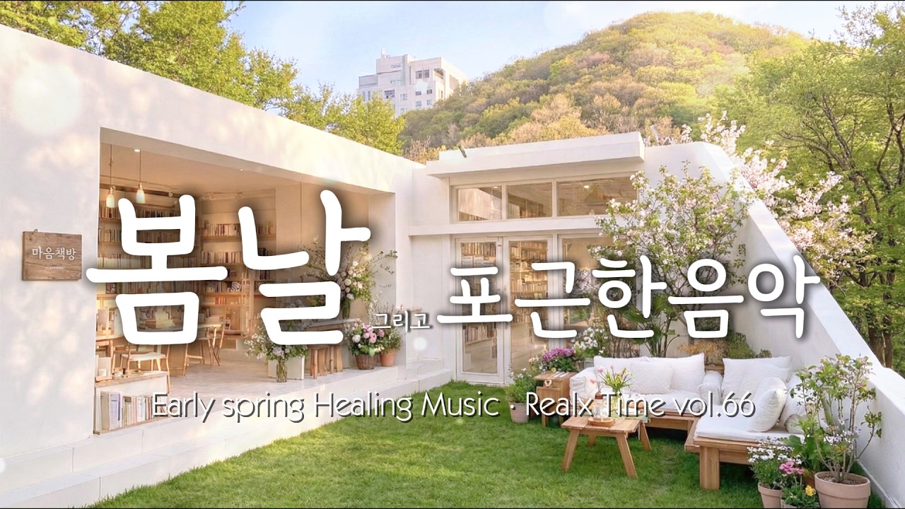 [마음책방] 🌿 맑은 숲속을 걷는 듯한 청량한 음악 | Freshness like Forest Walk Music