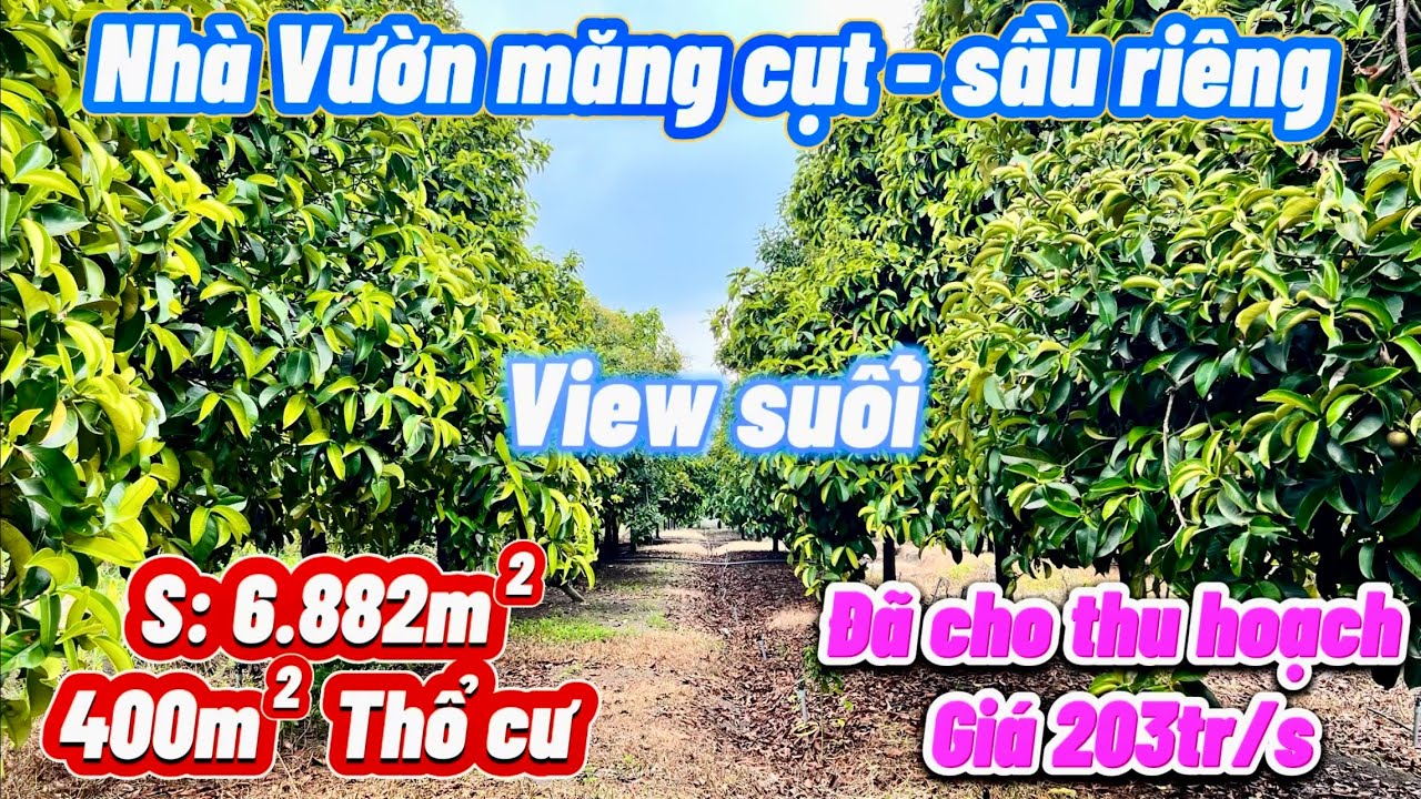Nhà vườn măng cụt, sầu riêng, view suối, nước xài không hết. S: 6.882m2, 400m thổ cư. Giá 1,4 tỉ