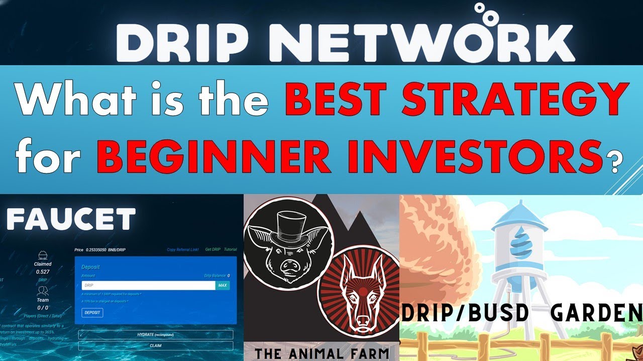 Drip Network Review for Beginners - What is the BEST STRATEGY for BEGINNER INVESTORS?