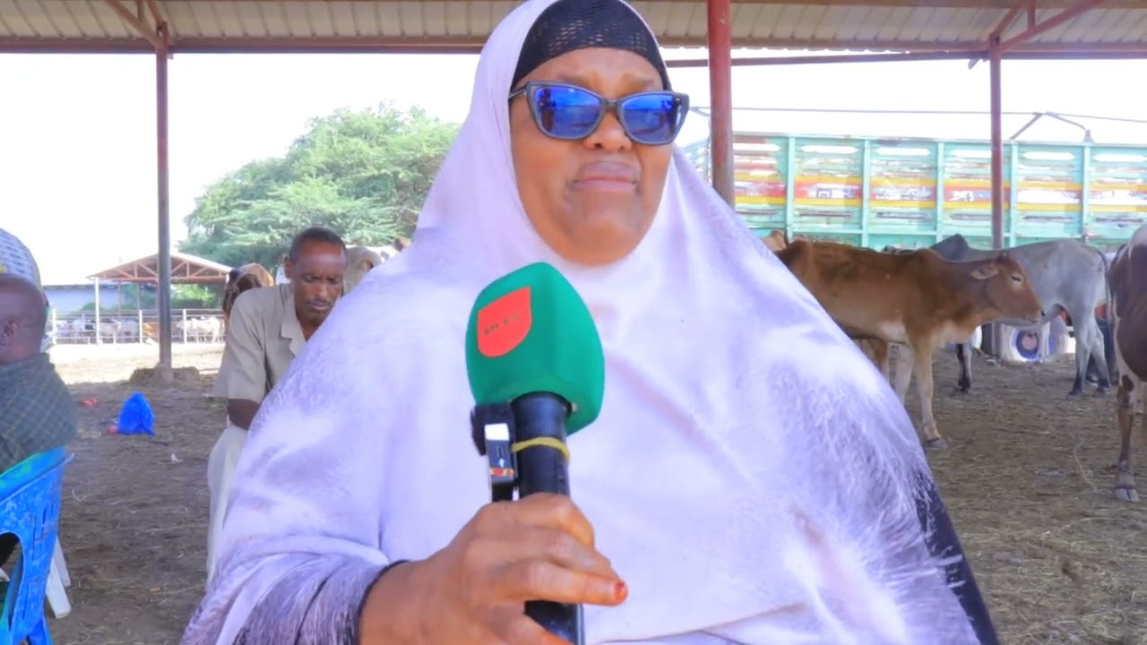 Hooyadan oo ka mida Dadka saylada Hargaysa ayaa sheegtay arin dhibaato ku  ah shaqadeeda