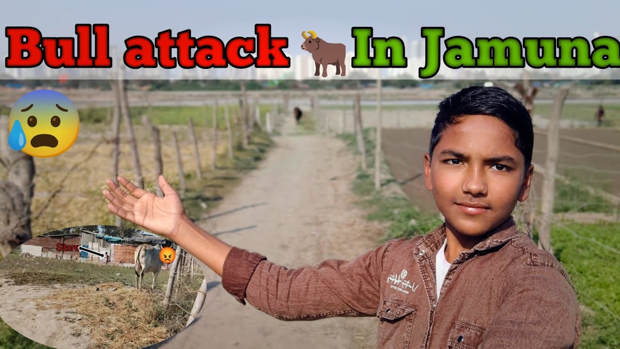 Jamuna Kinare Bull Attack! 🐂 Bal-Bal Bache 😱