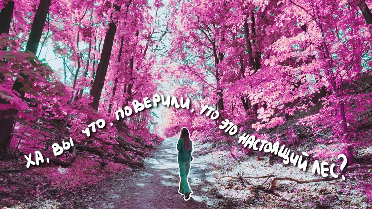 slow life в Варшаве: будни, лес и жилищные вопросы