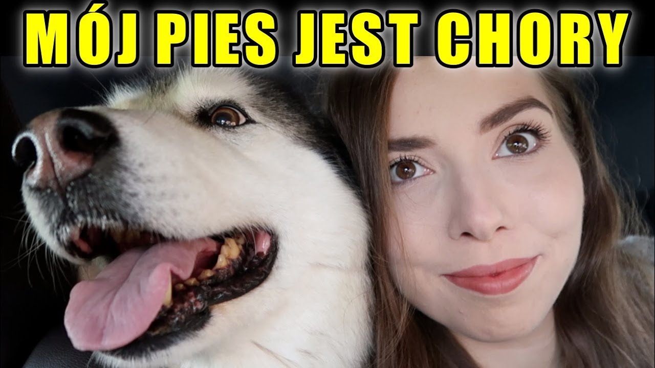 MÓJ PIES JEST CHORY