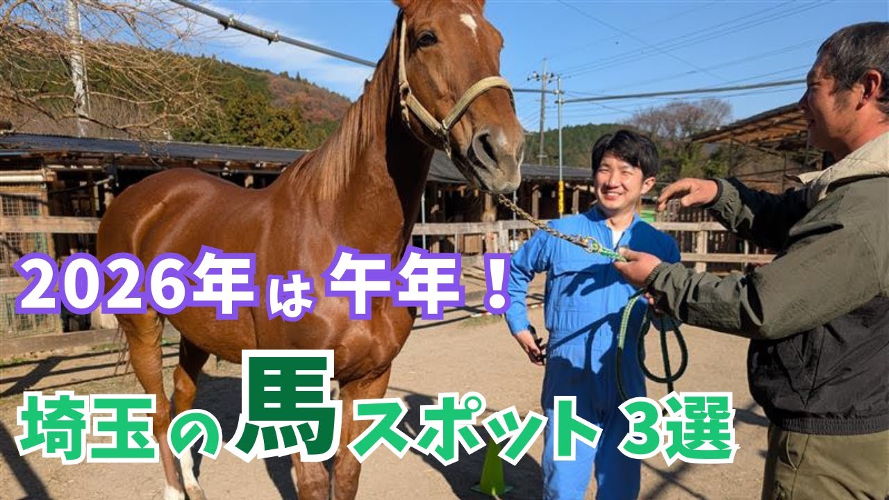 参拝・絵付け・ふれあい体験も！午年のお出かけはここに決まり！埼玉の馬スポット【いまドキッ！埼玉】2026.1.10放送