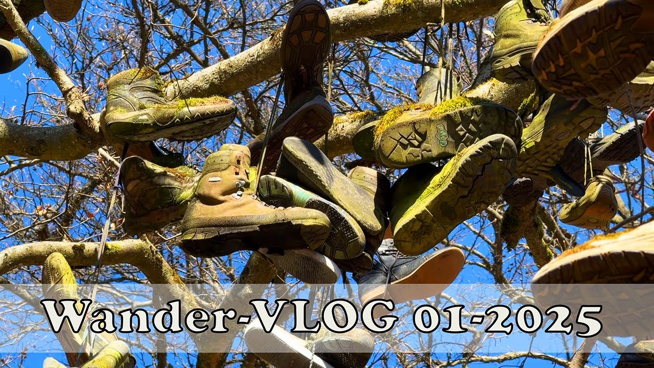 Wander-VLOG 01-2025  - Von Idstein nach Wiesbaden