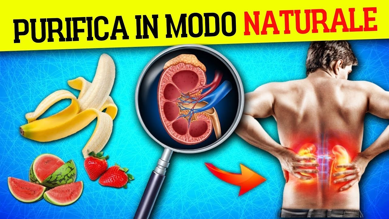 𝙇𝘼 𝙇𝙄𝙎𝙏𝘼: 🍉 Alimenti per DISINTOSSICARE I RENI