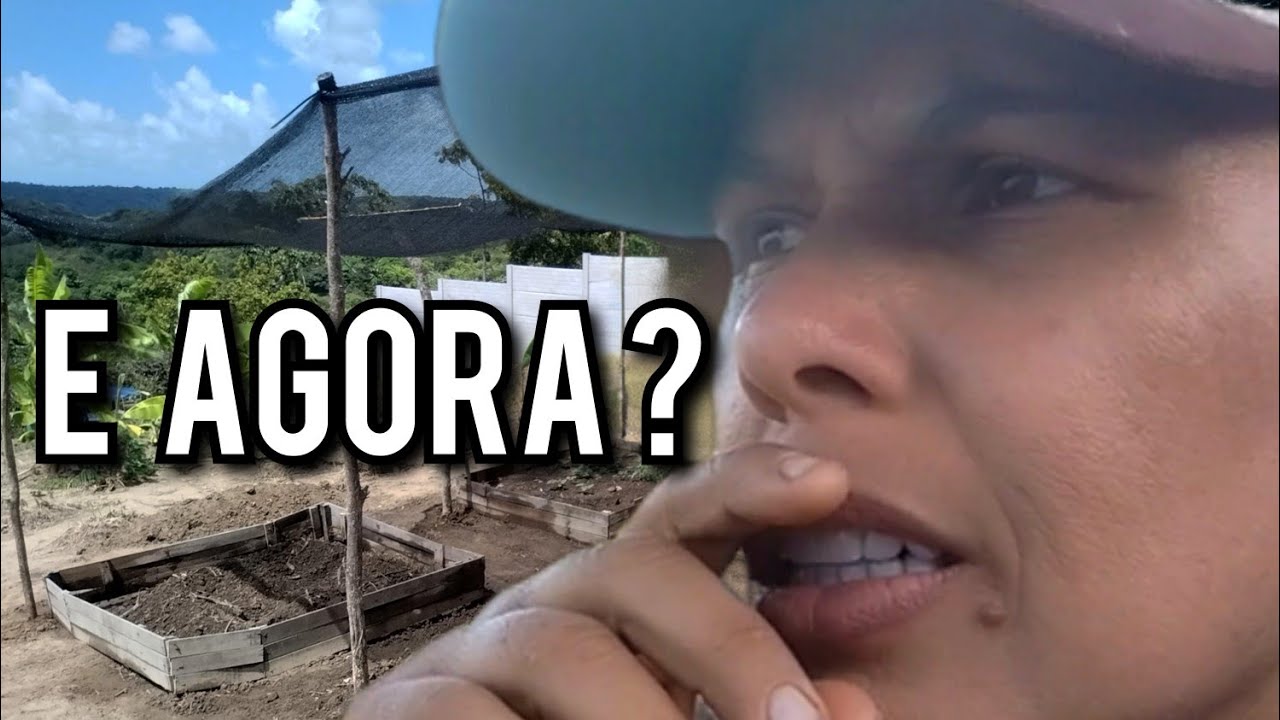 Dia produtivo,  mas nem tudo saiu como esperado