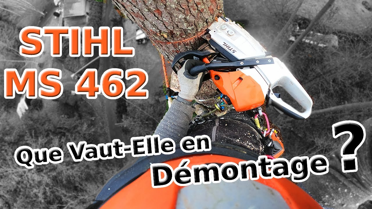 MS 462 ou MS 500i, Laquelle Choisir chez STIHL pour du Démontage ?