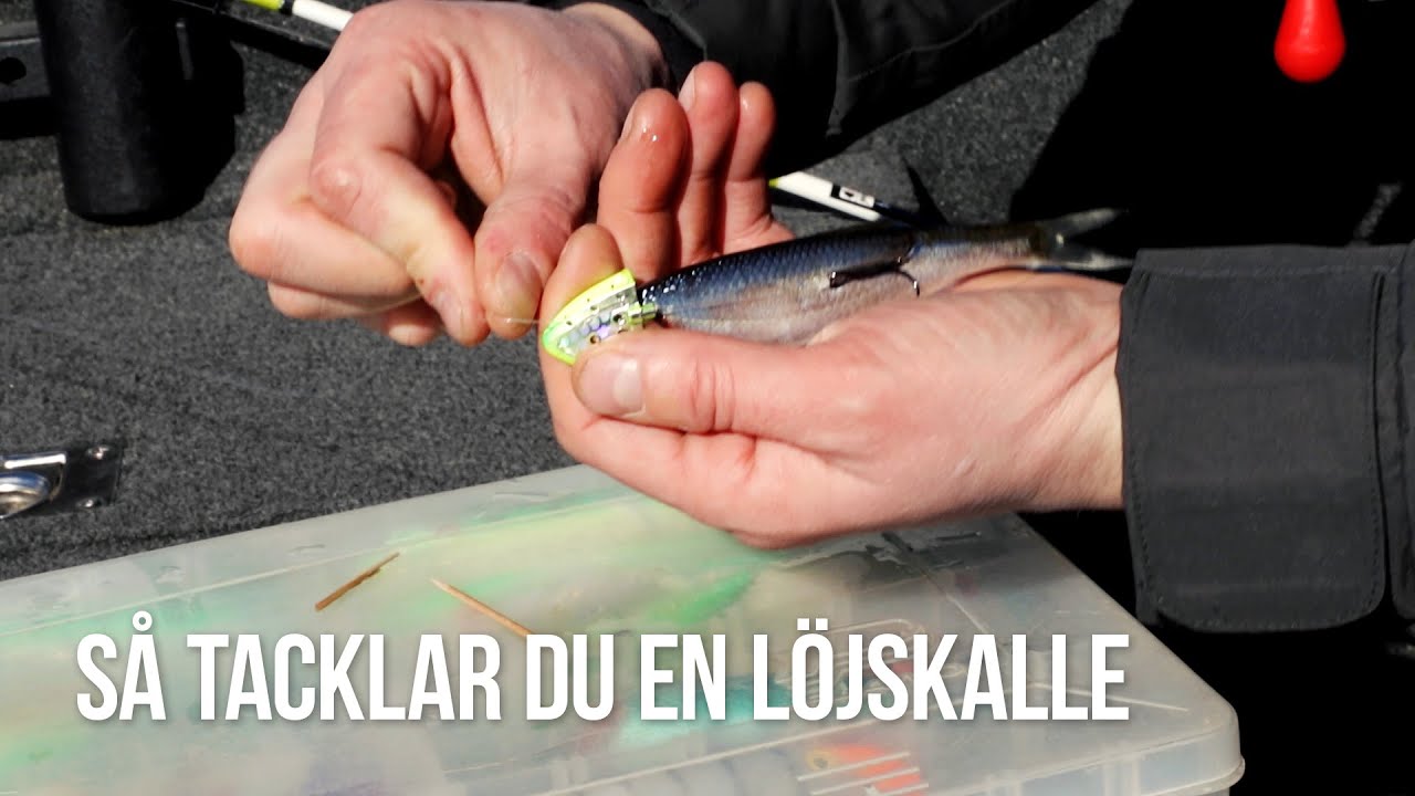 Hur man tacklar en löjskalle till trollingfiske