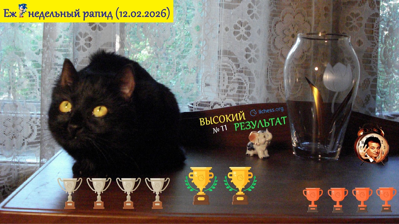 Шахматы {} ВЫСОКИЙ РЕЗУЛЬТАТ №11 {} Еж🦔недельный рапид (12.02.2026)