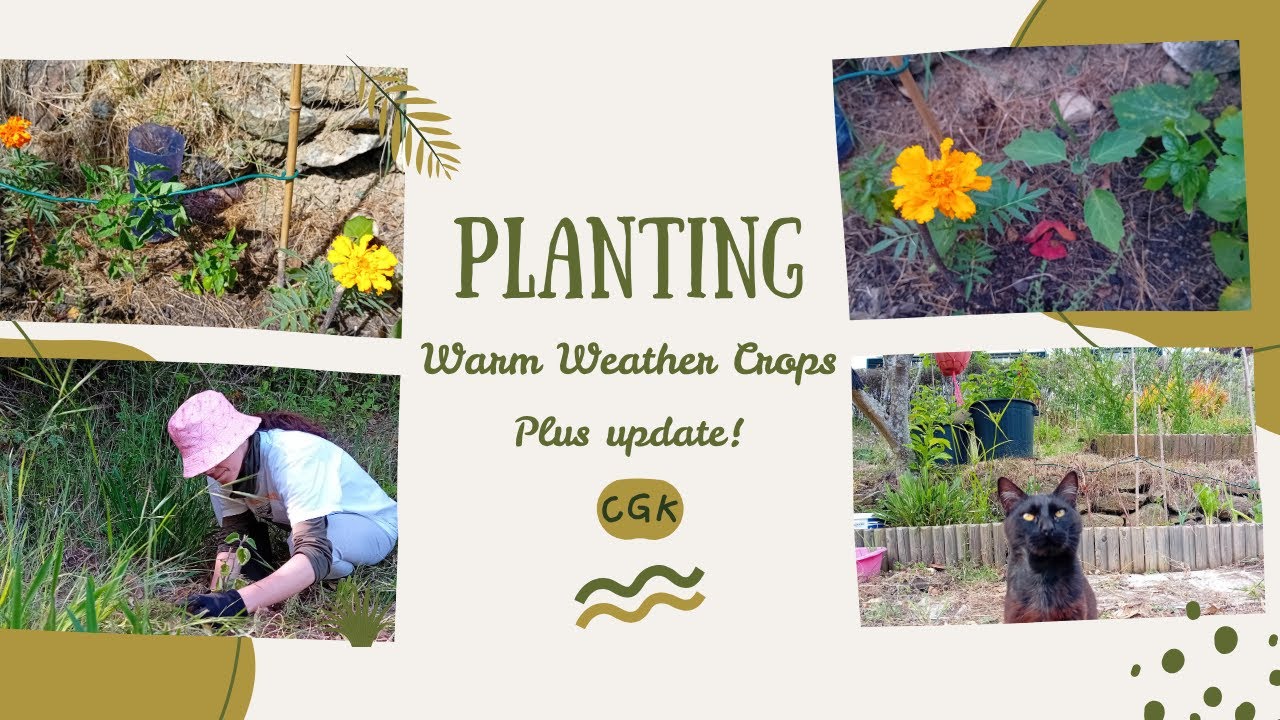Planting Warm Weather Crops
