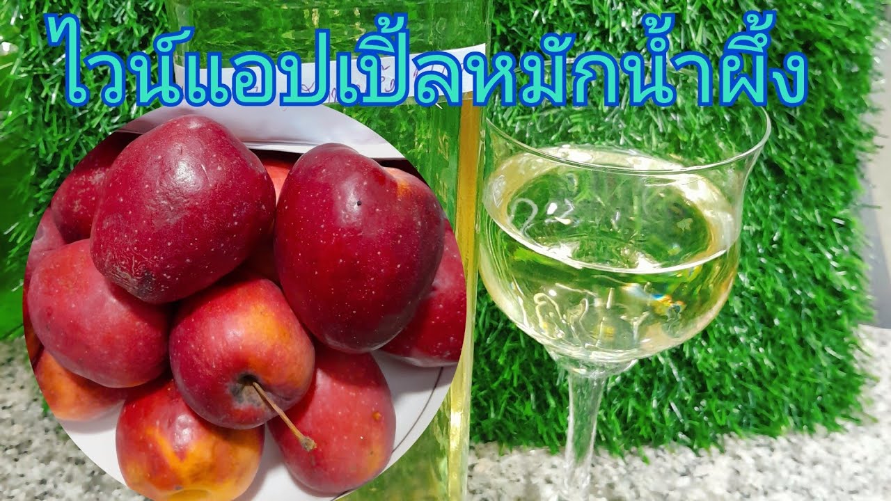 #ไวน์แอปเปิ้ลหมักน้ำผึ้งapple wine   ep.335