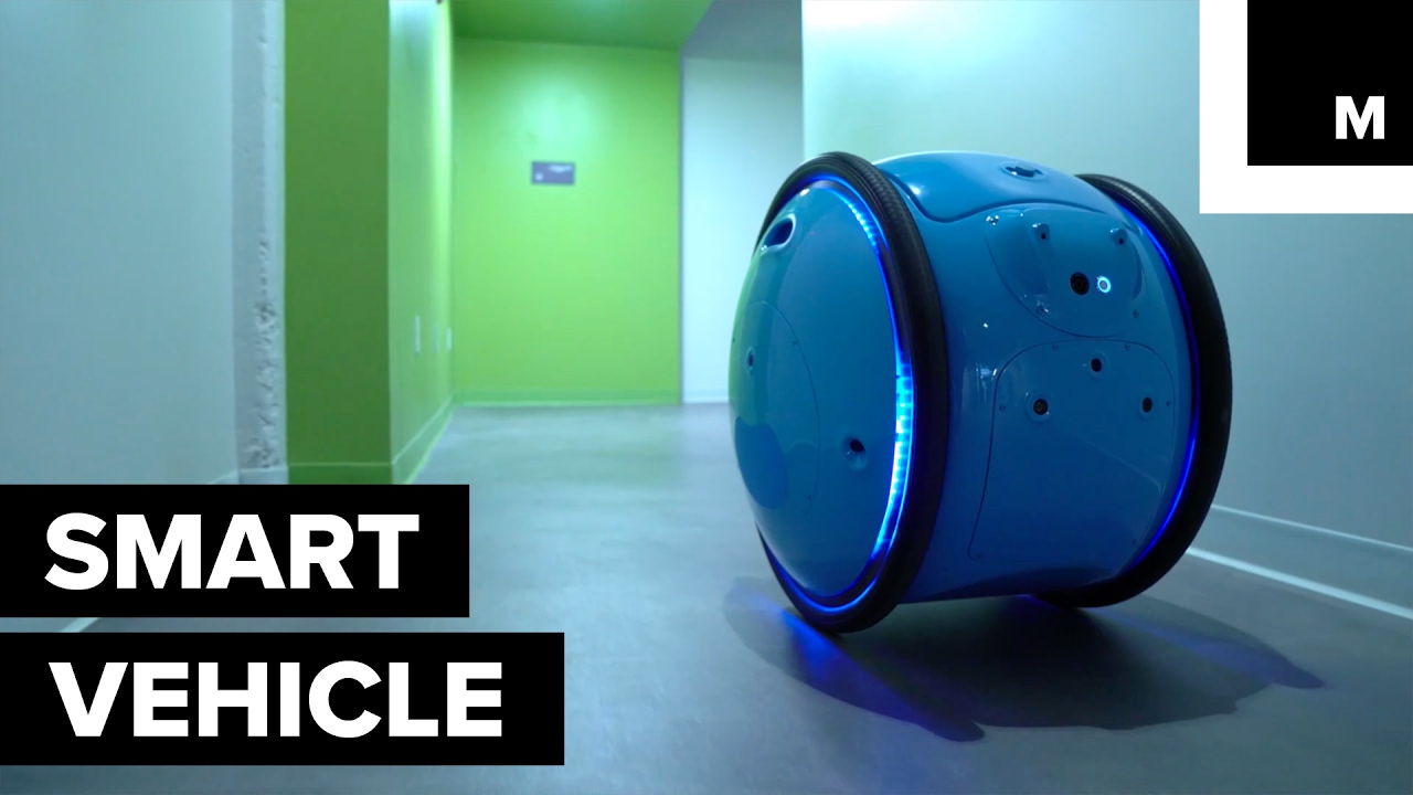 Vespa robotic orb for carrying stuff