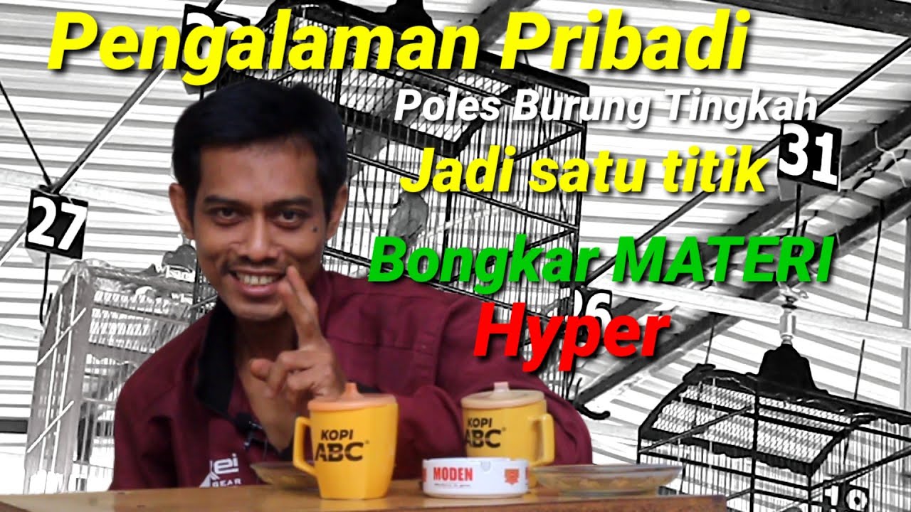 tips agar cucak hijau satu titik,bongkar materi,hyper // by gareng mhbc pengalaman pribadi