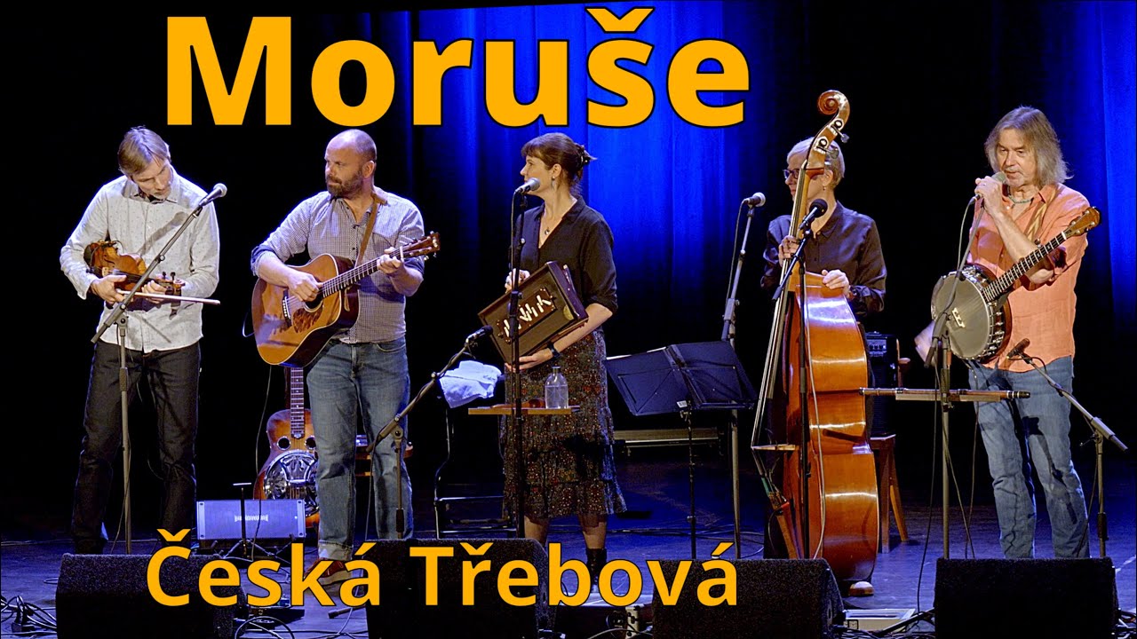 Moruše Česká Třebová