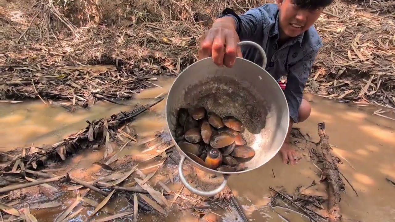 ផ្សងព្រេង1យប់2ថ្ងៃតាមជ្រលងជើងភ្នំ វាគ1