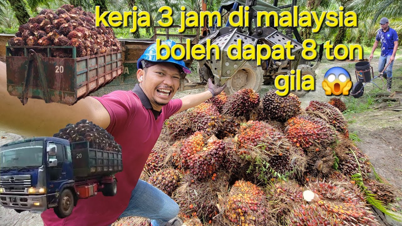 Loding di malaysia cume kerja 3 jam 8 ton boleh dapat 1 hari💪 😱#tkimalaysia
