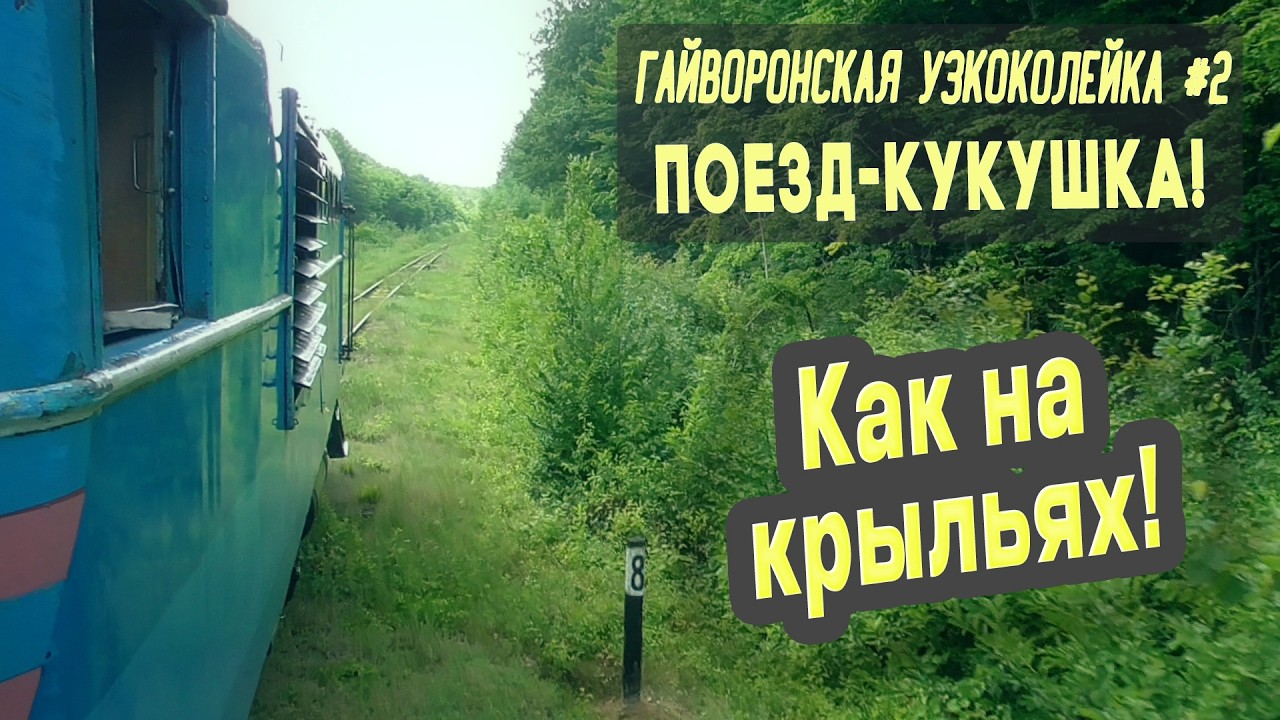 ⛺ Гайворонская узкоколейка #2. Великолепный поезд-кукушка!