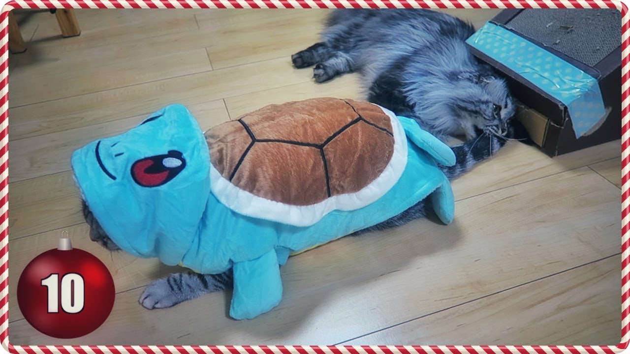 My Cats Try the Squirtle Costume | Vlogmas Day 10