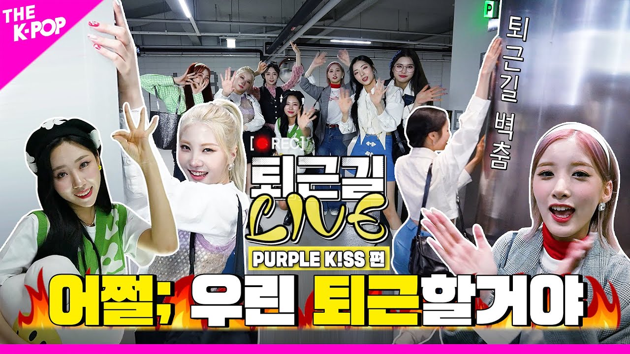 [퇴근길 LIVE 4K] 어쩔퍼키🤷 : 어쩌라고 퇴근하는 퍼플키스 봐💜