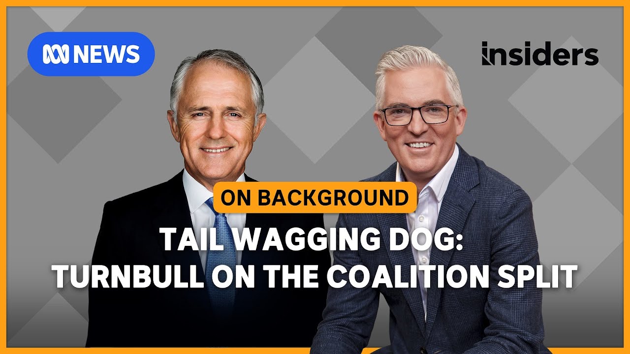 The Nationals 'holding a gun to the Liberal Party’s head', says Turnbull | Insiders: On Background
