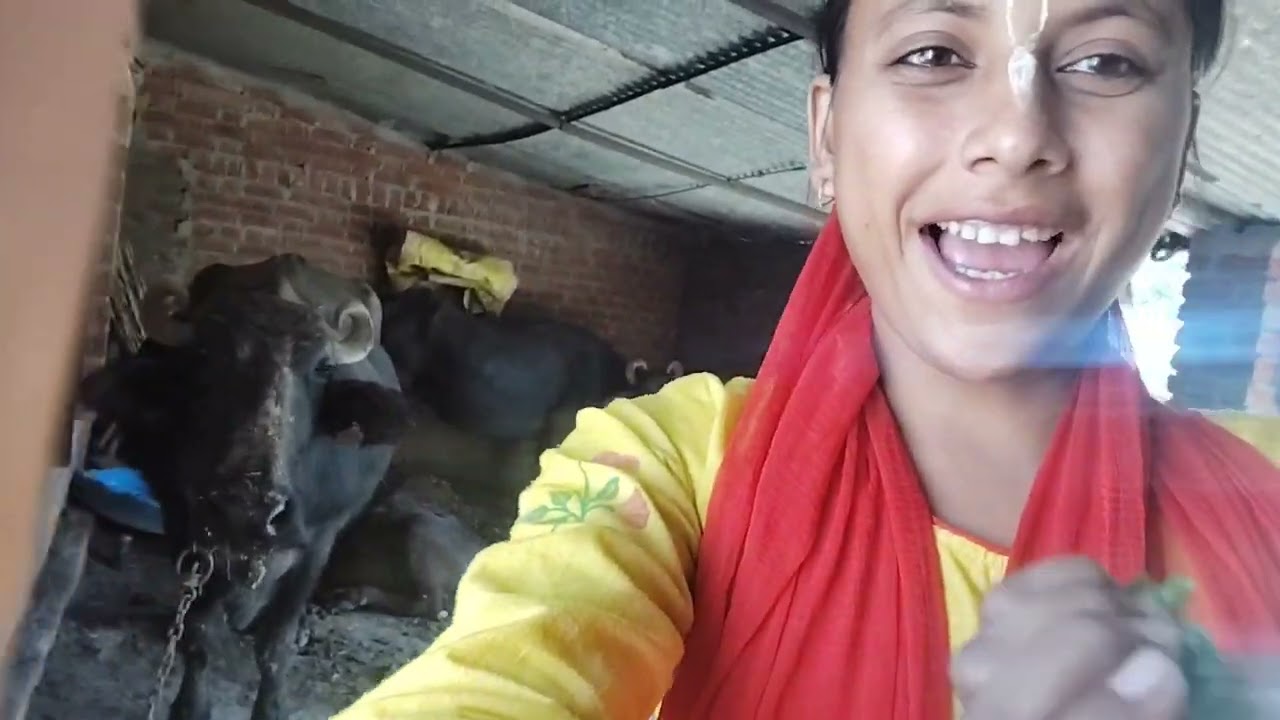 आज hamne बनाए मट्ठा के आलू @ashiki_vlog #vlog #matthakeaalu #trending #long 