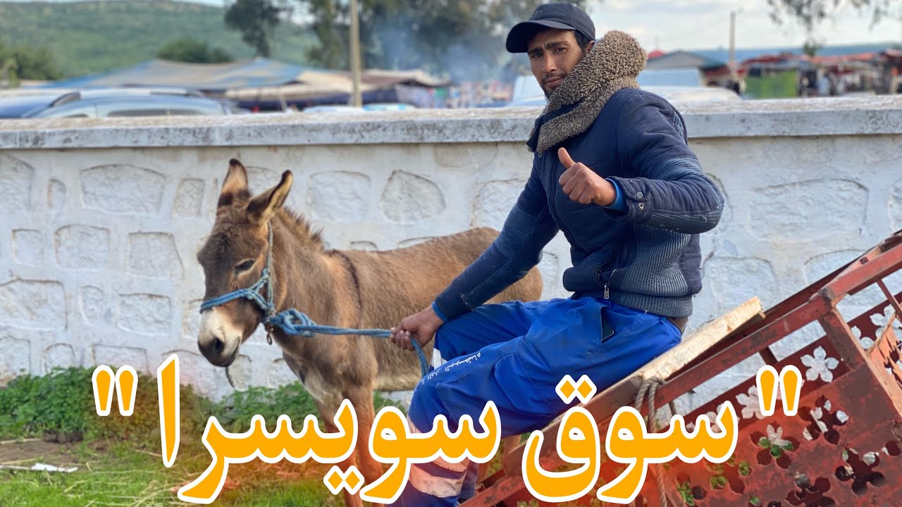 أجواء رائعة بالسوق الأسبوعي