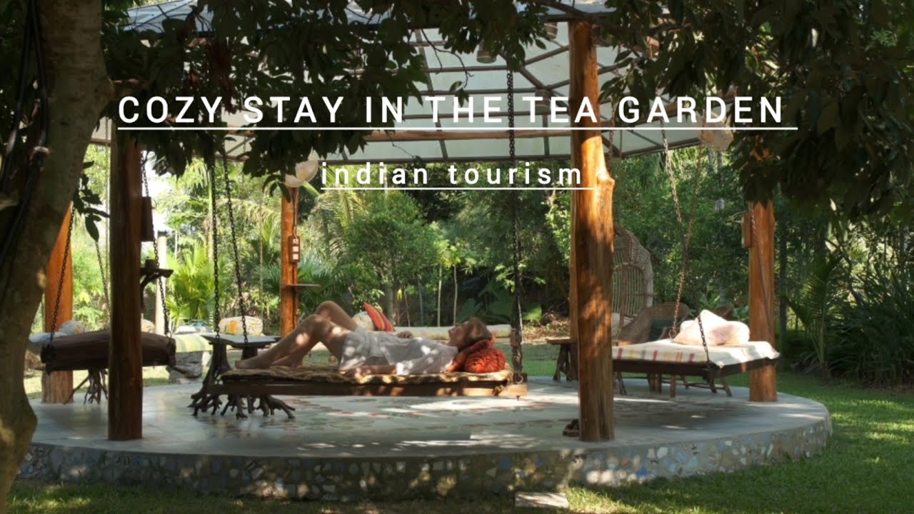 Assam Tea Tourism | Airbnb 💎