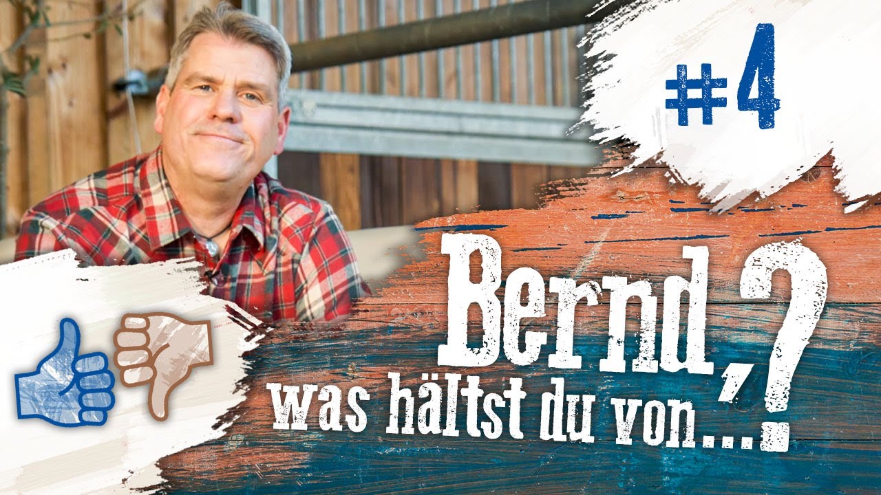 Bernd, was hältst du von...? #4 - Ponyhorse, Gewichtsgrenze und Mouthcloser