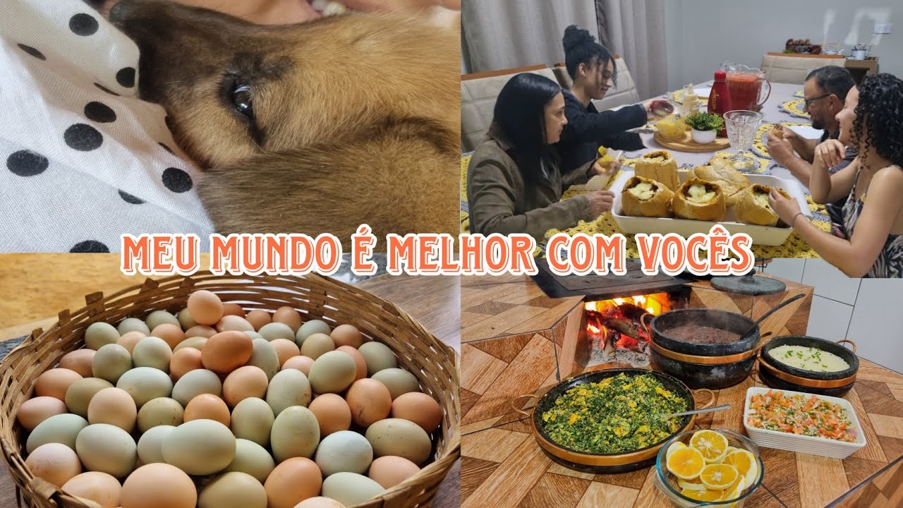 Temos um novo morador♡ fiz lanche delicioso pra família/ feijoada pro almoço de domingo