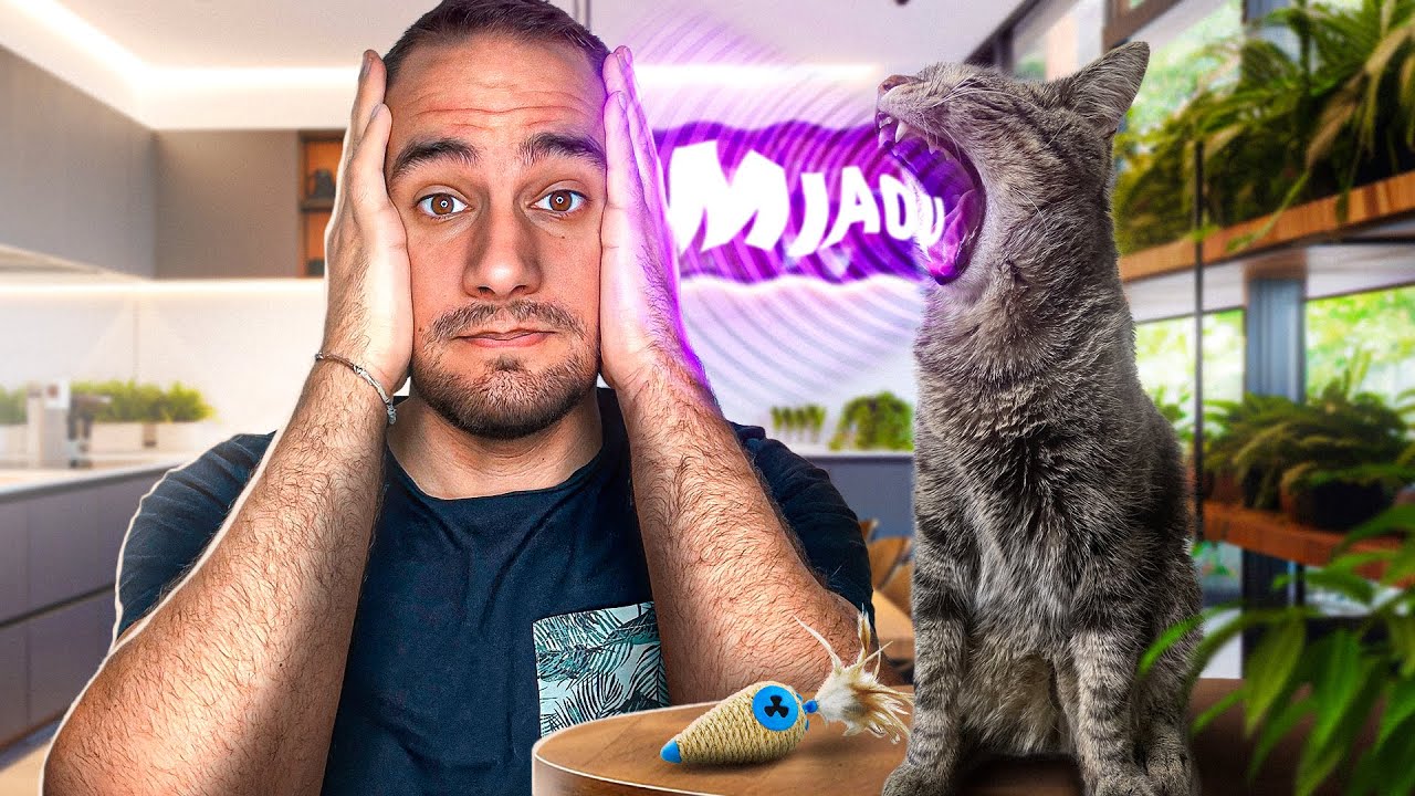 MON CHAT MIAULE H24 😅 BEST OF !