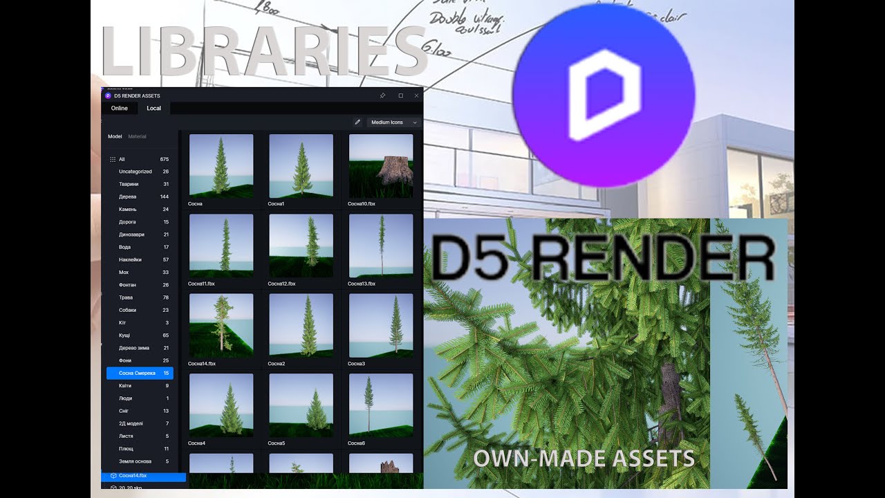 Library Assets D5 Render