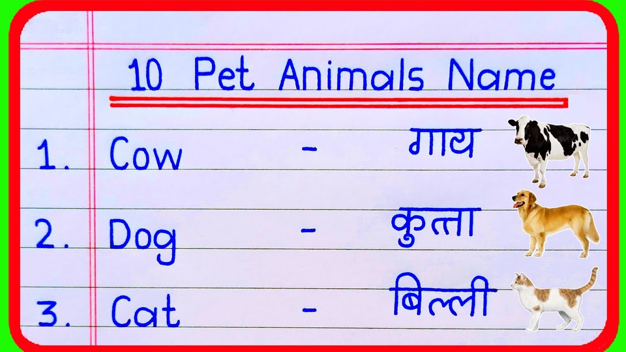 10 pet animals name in hindi and english | pet animals | pet animals name | पालतू जानवरों के नाम