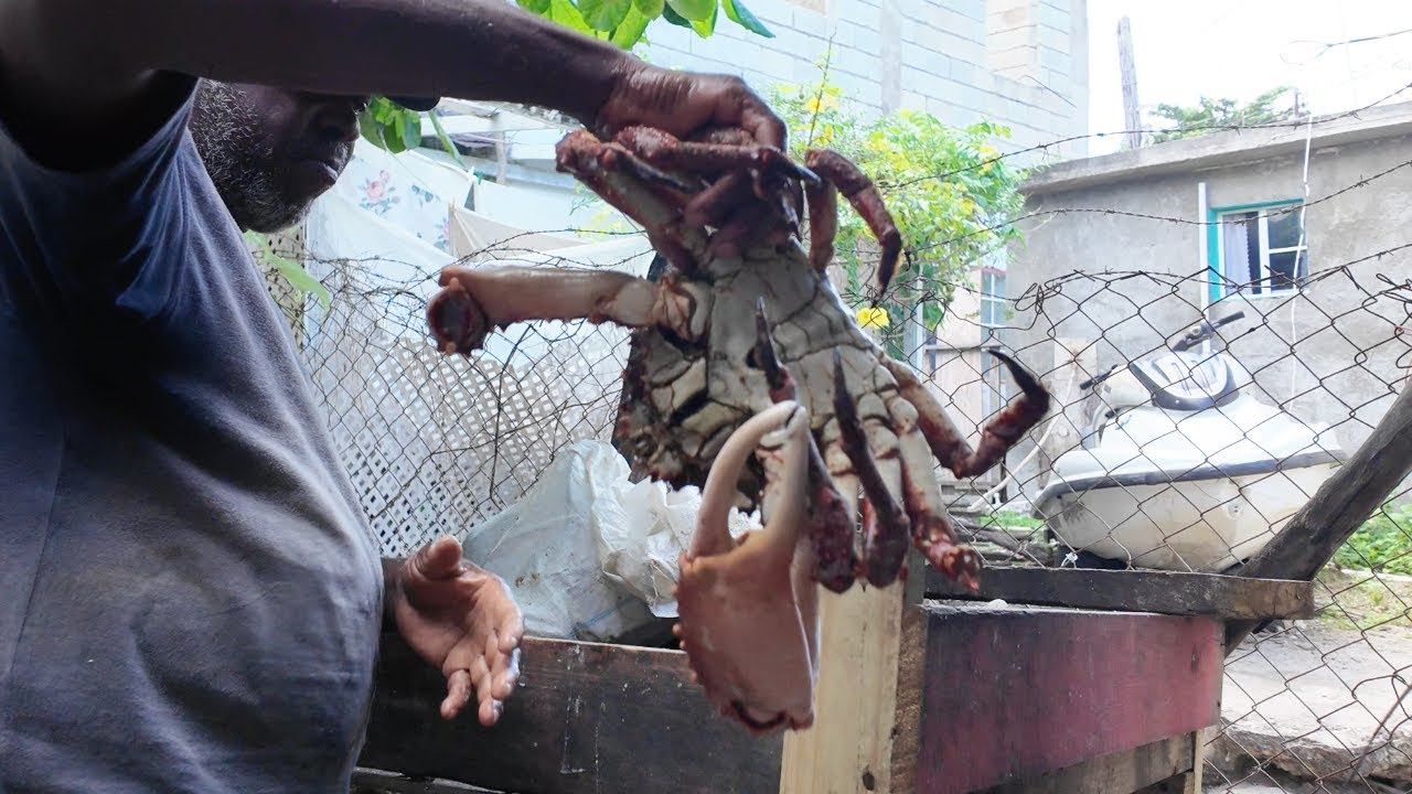 BUYING MASSIVE KING CRABS 50 LBS OF GROUPER LIVE 15LBS LOBSTER ALL LIVE! FRESH AND COOKOUT WITH 200+