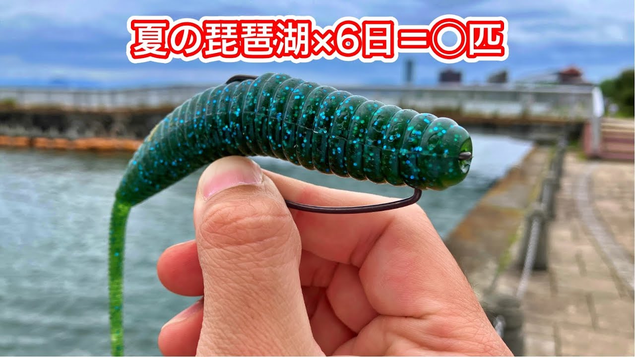 【バスつり】夏のデカバスを求めて！6日間琵琶湖でおかっぱりバス釣りをやってきました
