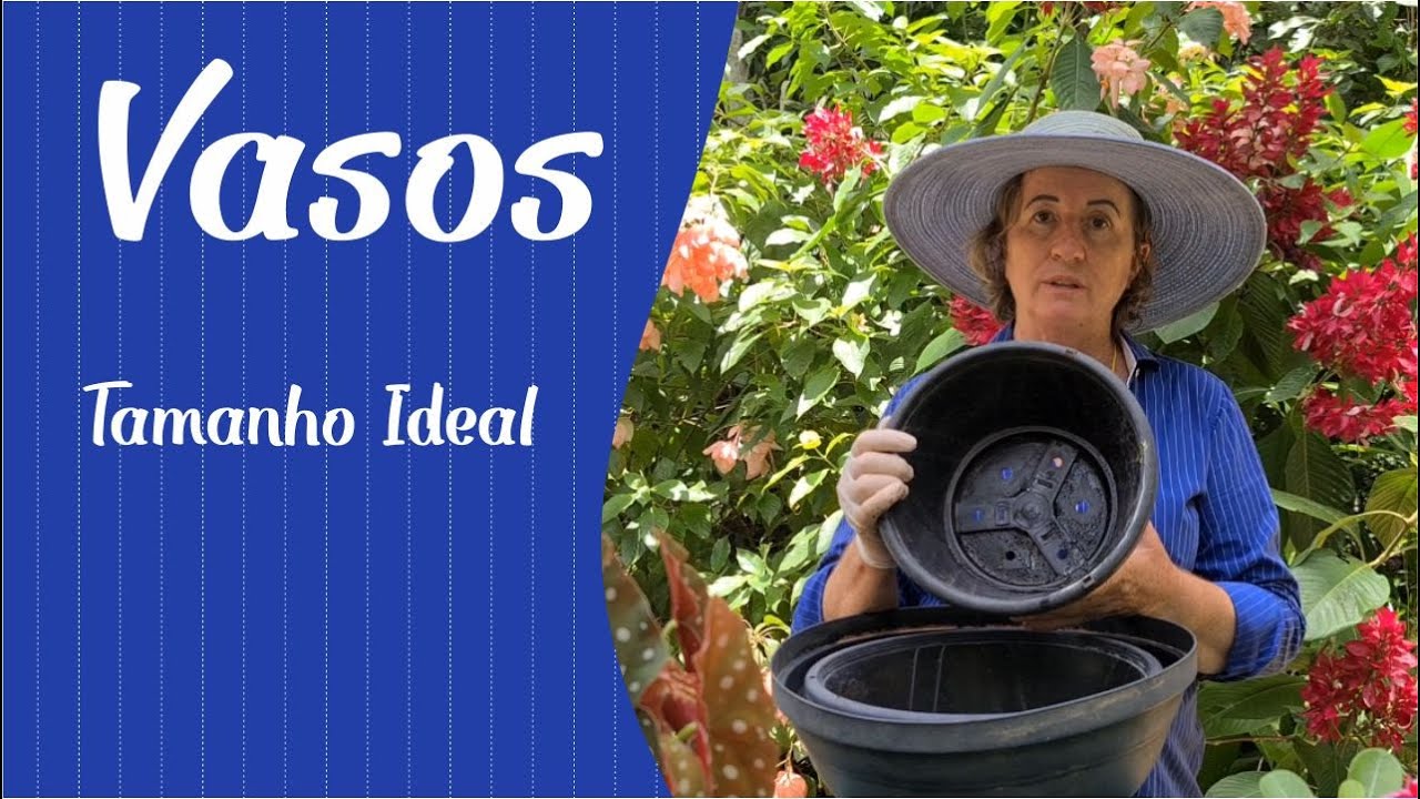 VASO, acerte no tamanho ideal