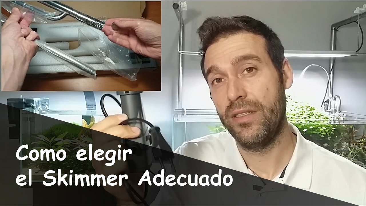 Filtración de Superficie #2: Qué Skimmer Elegir ... Eheim 350 Vs Skimmer para Filtro externo
