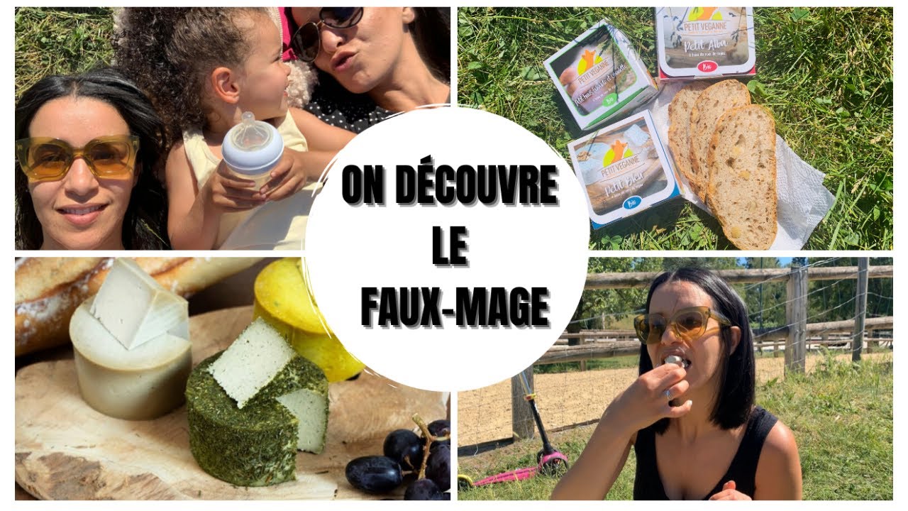 D&Eacute;COUVERTE DE FROMAGES SANS LACTOSE, SANS GLUTEN ET BIO 😋