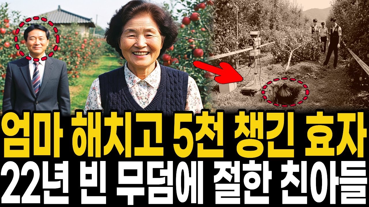 1994년 대구 사과농장 효자 아들 집에서 증발한 72세 노모 → 22년 뒤 손자가 벽 틈에서 발견한 5천만원 보험 통장