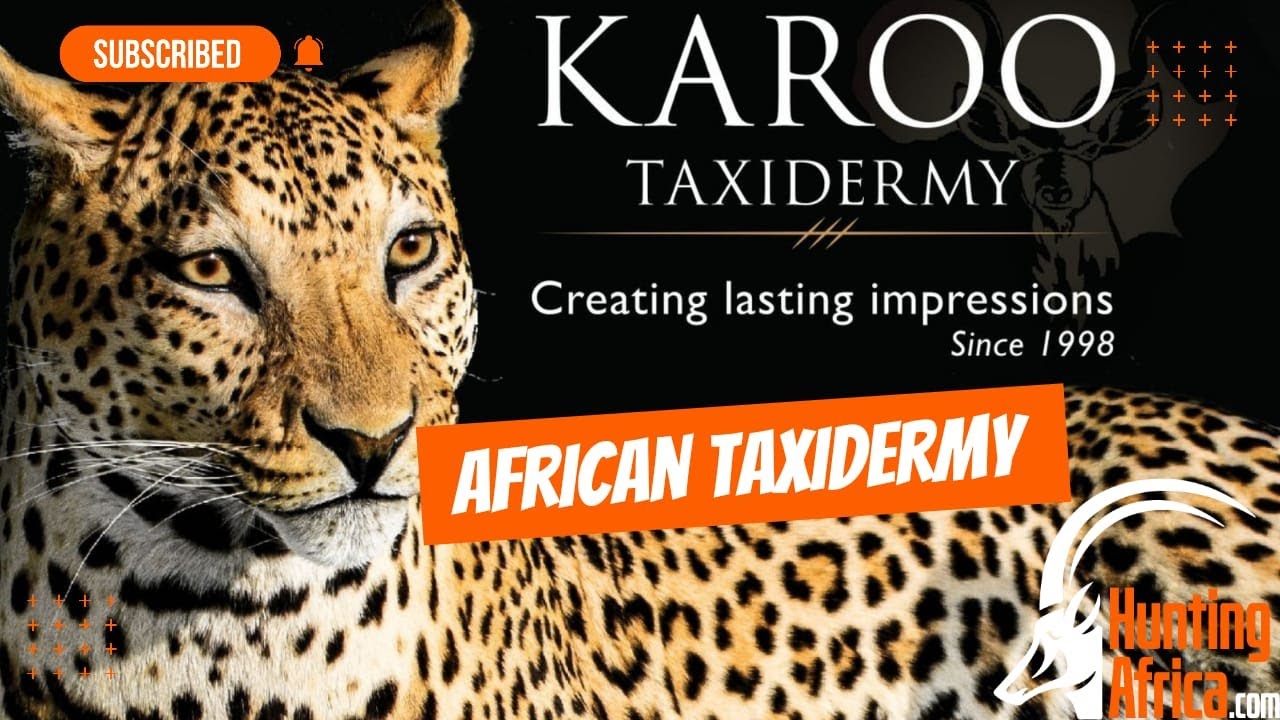 Taxidermy | Africa | HuntingAfrica.com | Karoo Taxidermy | 2021