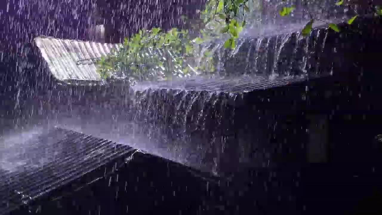 Rain on Tin Roof During the Night | Relaxing Sleep Rain Sounds