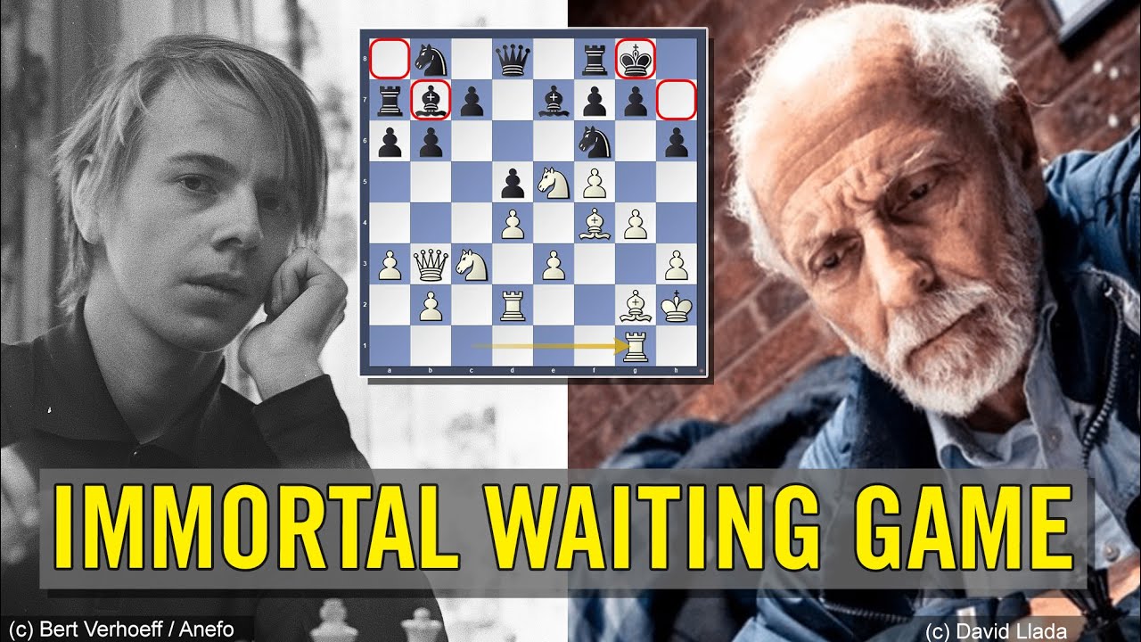 The immortal waiting game | Ulf Andersson vs Michael Basman
