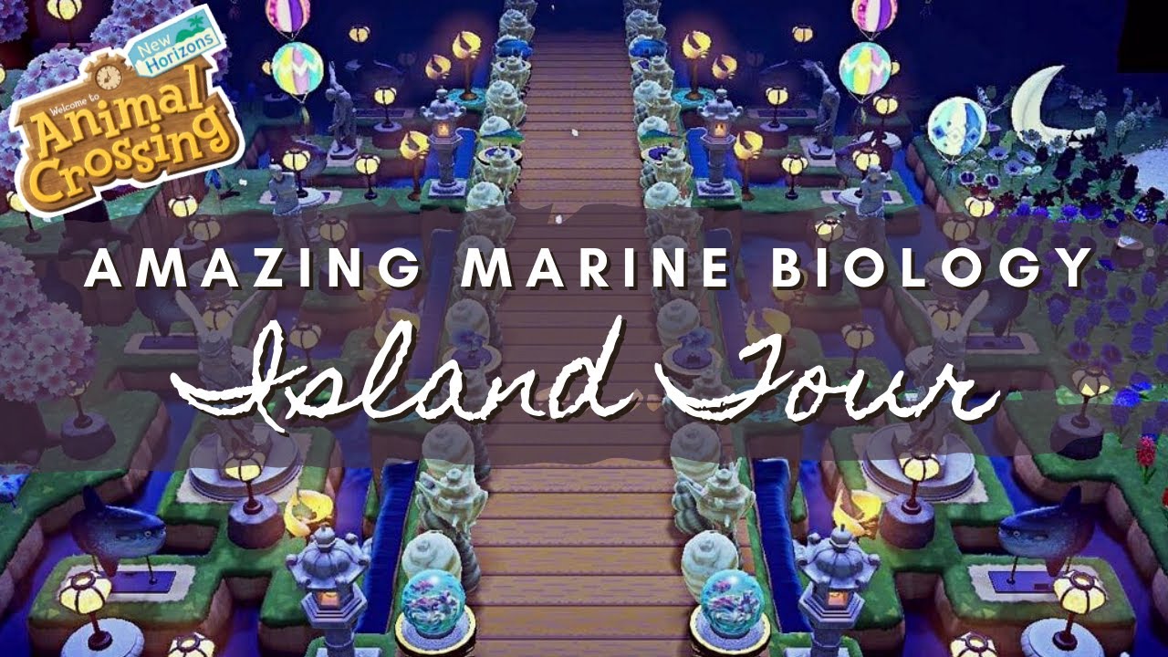AMAZING MARINE BIOLOGY INSPIRED ISLAND TOUR | Animal Crossing New Horizons