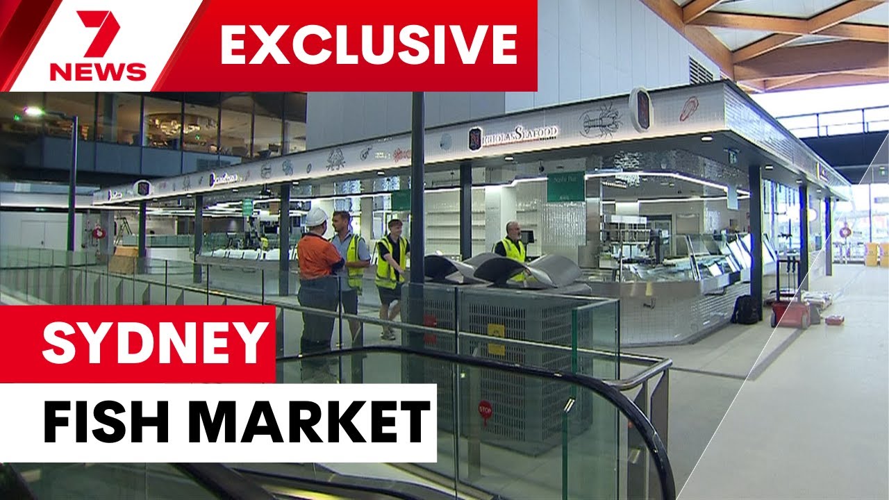 First look inside the new Sydney Fish market at Pyrmont | 7NEWS